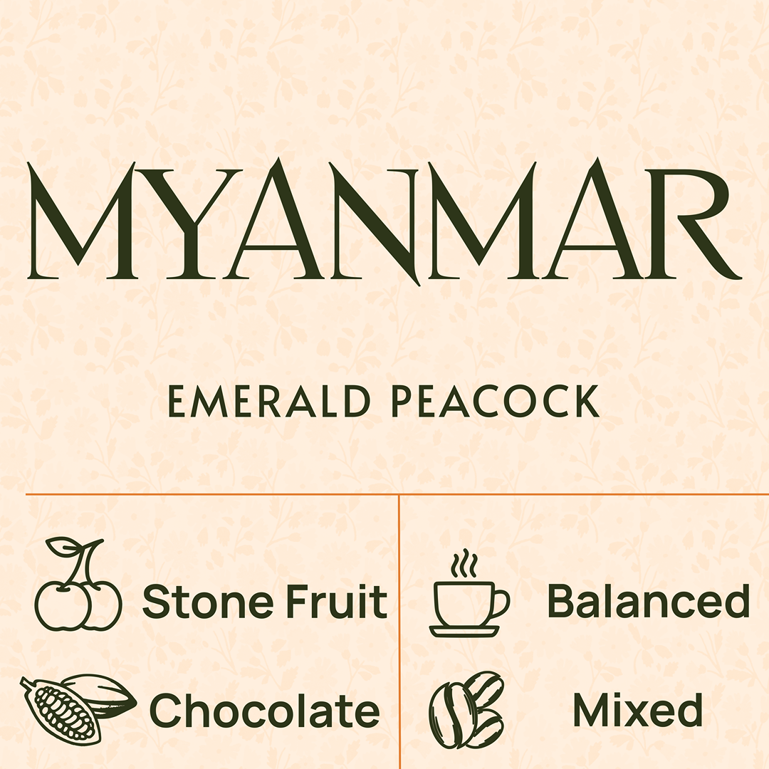 MYANMAR - EMERALD PEACOCK | Dueling Rabbits